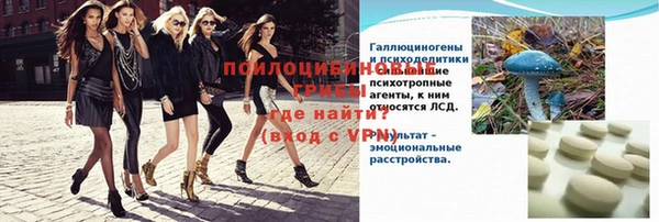 амфетамин Белокуриха