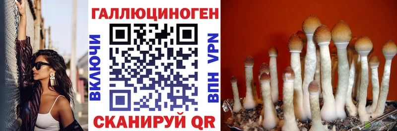 Галлюциногенные грибы мухоморы  что такое наркотик  Горно-Алтайск 
