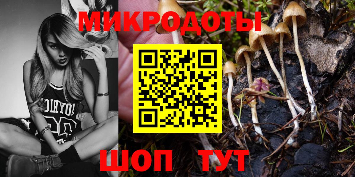 Галлюциногенные грибы MAGIC MUSHROOMS  Псилоцибиновые грибы GOLDEN TEACHER  Горно-Алтайск  Вход с VPN 