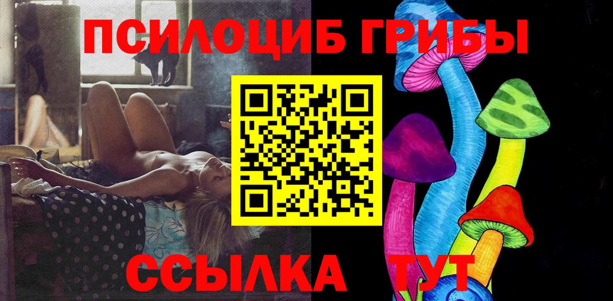 Псилоцибиновые грибы мицелий Горно-Алтайск