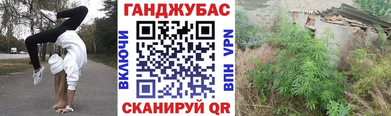 Каннабис VHQ  darknet Telegram  Горно-Алтайск 